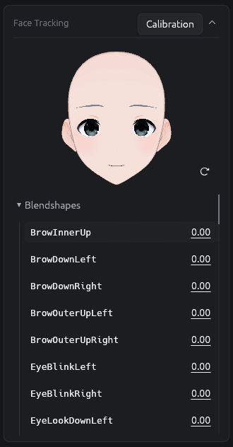 VParamix Face Tracking workspace